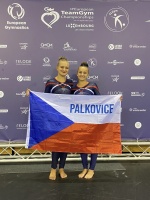 Gymnastky na mistrovství Evropy