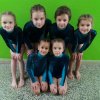 Úspěšní gymnasté