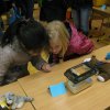 minizoo