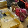 minizoo