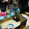 minizoo