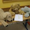 minizoo