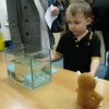 minizoo