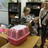minizoo