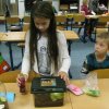 minizoo