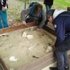 Archeopark Chotěbuz